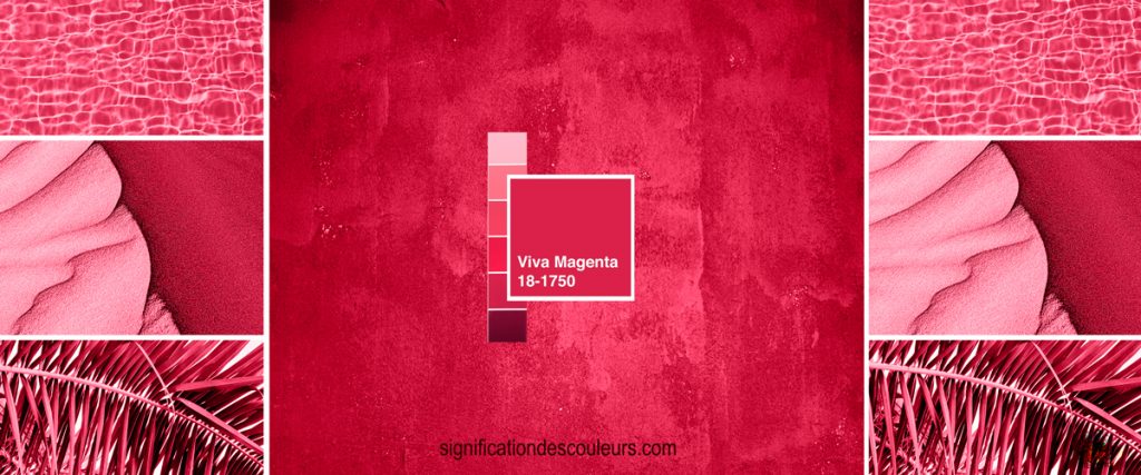 Le Viva Magenta est la couleur Pantone de l'année 2023