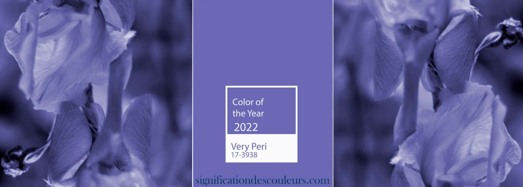 Very Péri 17-3938, la couleur de l'année Pantone pour 2022, est-elle une couleur globaliste ?